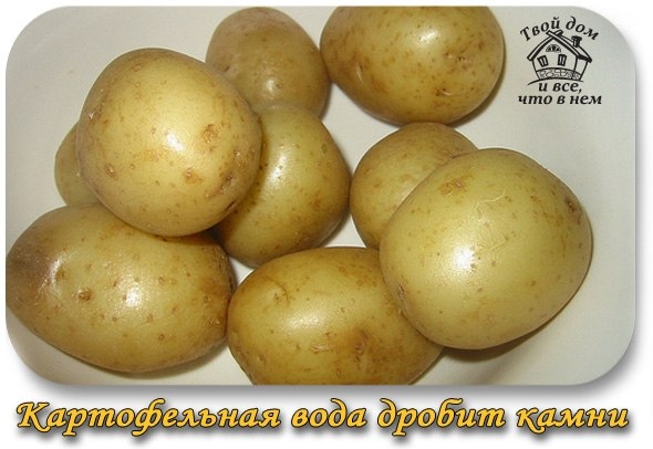 КАРТОФЕЛЬНАЯ ВОДА ДРОБИТ КАМНИ КАРТОФЕЛЬНАЯ ВОДА ДРОБИТ КАМНИ