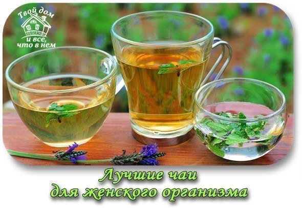 Лучшие чаи для женского организма