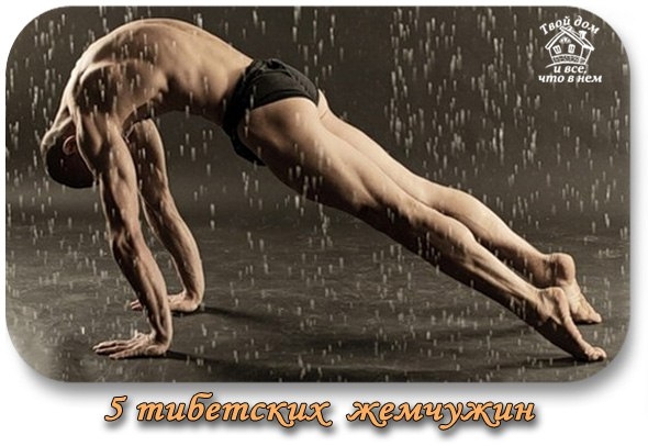 «Пять тибетских жемчужин» «Пять тибетских жемчужин»