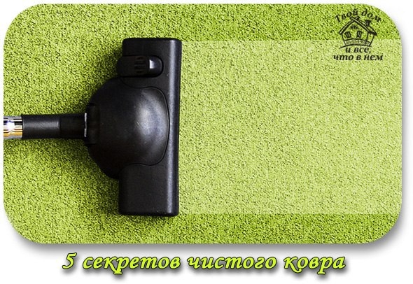 5 секретов чистого ковра.
