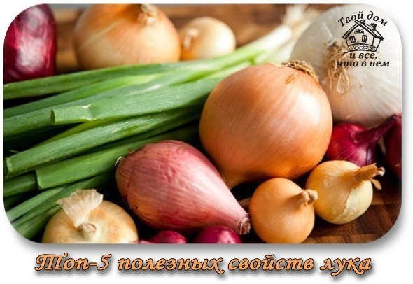 ТОП 5 ПОЛЕЗНЫХ СВОЙСТВ ЛУКА НЕ В КУЛИНАРИИ.