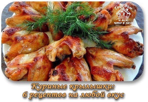 Куриные крылышки: ТОР - 6 рецептов на любой вкус