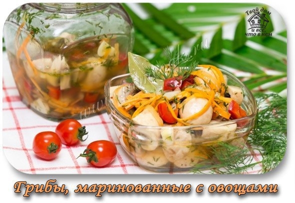 ГРИБЫ, МАРИНОВАННЫЕ С ОВОЩАМИ