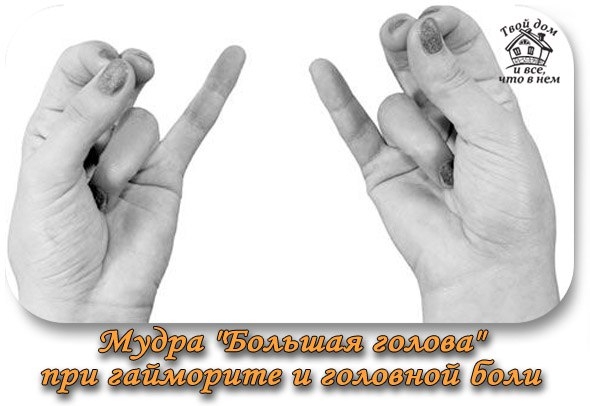 МУДРА "БОЛЬШАЯ ГОЛОВА"