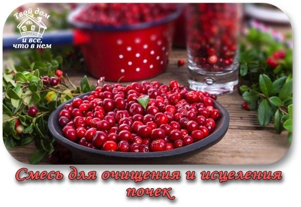 СМЕСЬ ДЛЯ ОЧИЩЕНИЯ И ИСЦЕЛЕНИЯ ПОЧЕК