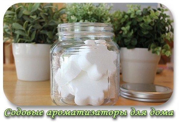 Содовые ароматизаторы для дома