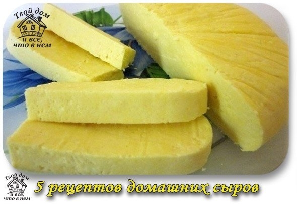 5 рецептов домашних сыров