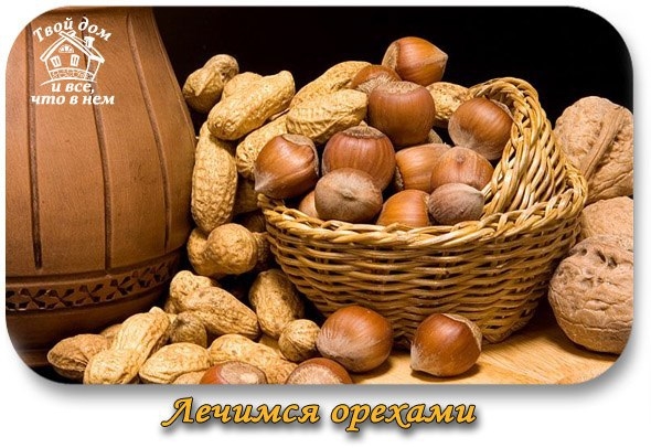 Лечимся орехами! Лечимся орехами!