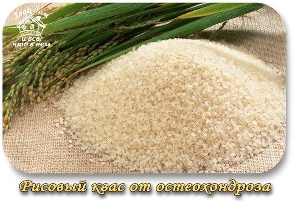 Рисовый квас от остеохондроза Рисовый квас от остеохондроза