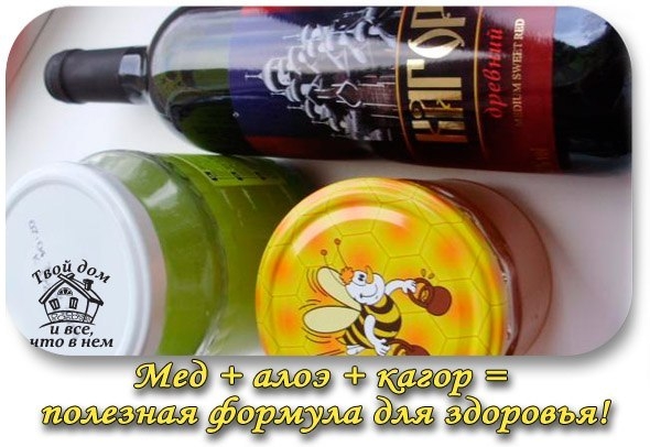 Мед + Алоэ + Кагор - полезная формула для здоровья!