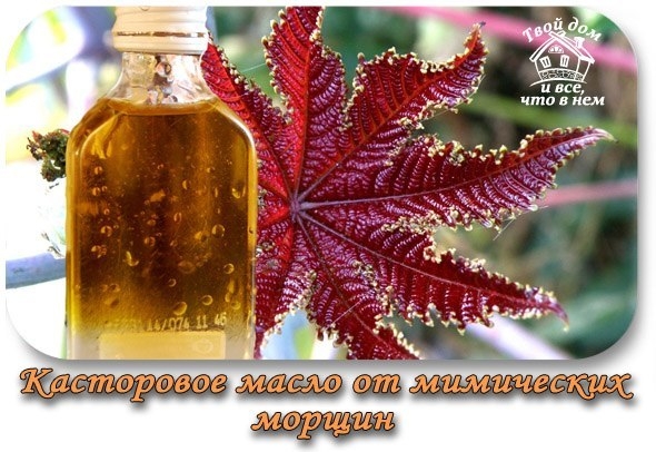 Касторовое масло лучше любого крема избавит от мимических морщин! ЭФФЕКТИВНО, ЛЕГКО, ДОСТУПНО, БЕЗОП Касторовое масло лучше любого крема избавит от мимических морщин! ЭФФЕКТИВНО, ЛЕГКО, ДОСТУПНО, БЕЗОП