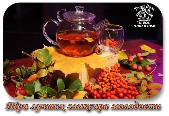 Три лучших эликсира молодости.