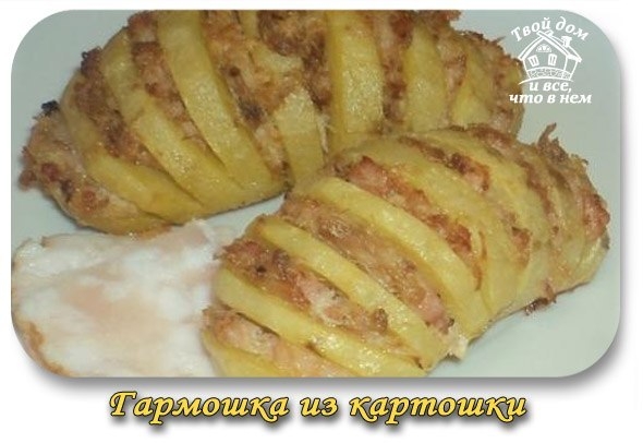 Гармошка из картошки