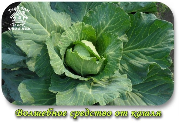 Волшебное средство от кашля!