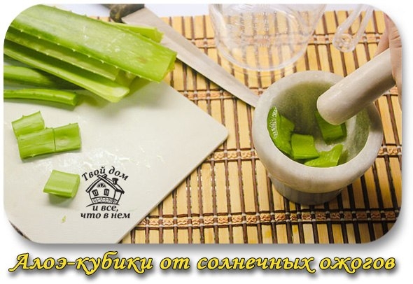 Алоэ-кубики от солнечных ожогов Алоэ-кубики от солнечных ожогов