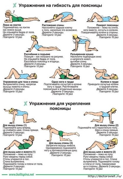 УНИВЕРСАЛЬНЫЕ УПРАЖНЕНИЯ ДЛЯ ПОЯСНИЦЫ УНИВЕРСАЛЬНЫЕ УПРАЖНЕНИЯ ДЛЯ ПОЯСНИЦЫ