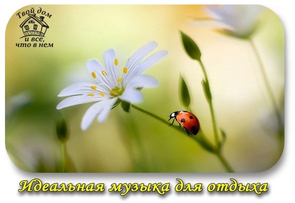 Идеальная музыка для отдыха