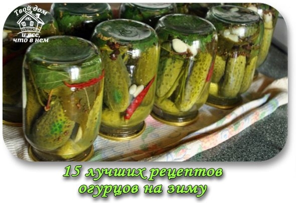 15 лучших рецептов огурцов на зиму