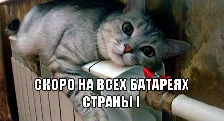 Фото Стихи Музыка