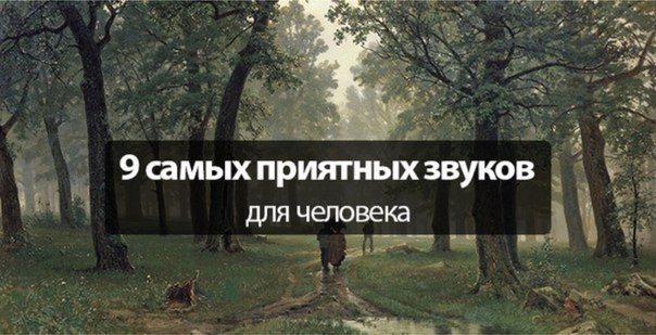 10 САМЫХ ПРИЯТНЫХ ЗВУКОВ ДЛЯ ЧЕЛОВЕКА.