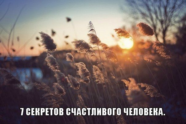 Семь секретов счастливого человека.
