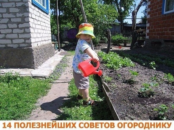 Совет №1