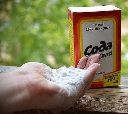 9 СПОСОБОВ ИСПОЛЬЗОВАНИЯ ПИЩЕВОЙ СОДЫ В САДУ