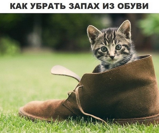 1. Взять перекись водорода, смочить в ней тряпочку или ватный диск и тщательно протереть обувь изнут