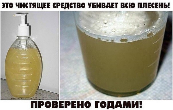 ЭТО ЧИСТЯЩЕЕ СРЕДСТВО УБИВАЕТ ВСЮ ПЛЕСЕНЬ! ПРОВЕРЕНО ГОДАМИ!