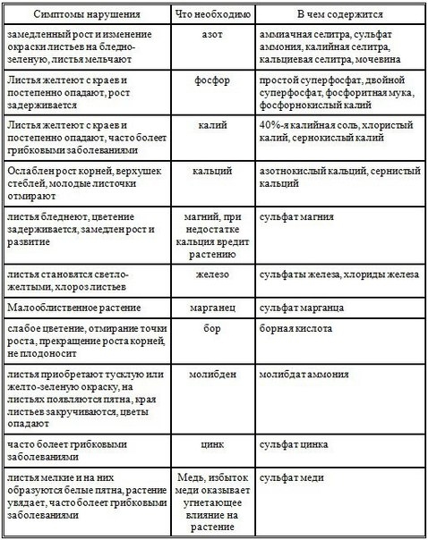 ЧЕМ ПОДКАРМЛИВАТЬ КОМНАТНЫЕ ЦВЕТЫ?
