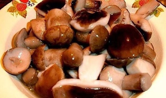 МАРИНАД ДЛЯ ГРИБОВ (ОПЯТ, МАСЛЯТ, БЕЛЫХ И Т. Д. )