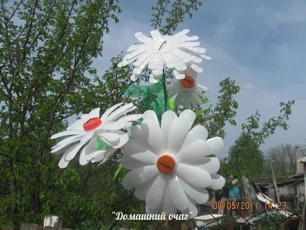 Ромашки из молочных бутылок Ромашки из молочных бутылок