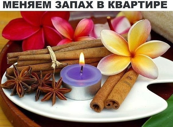 Вы замечали, что все дома и квартиры пахнут по разному? У кого-то прямо с порога с ног сшибает заста Вы замечали, что все дома и квартиры пахнут по разному? У кого-то прямо с порога с ног сшибает заста