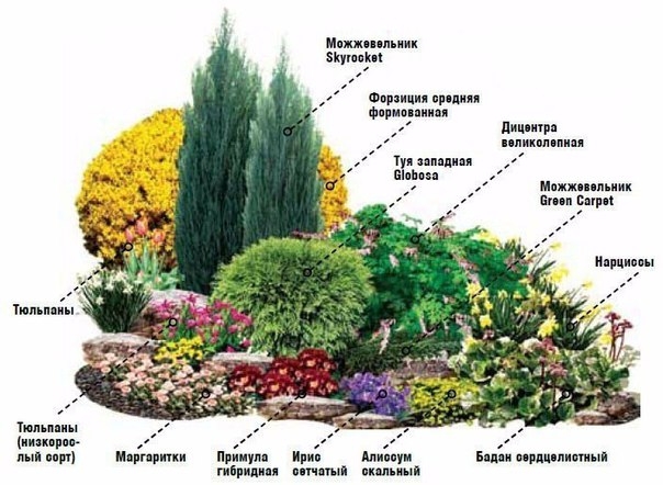 Альпийская горка своими руками Альпийская горка своими руками