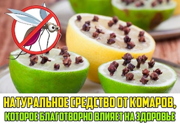 Натуральное средство от комаров, которое благотворно влияет на здоровье Натуральное средство от комаров, которое благотворно влияет на здоровье