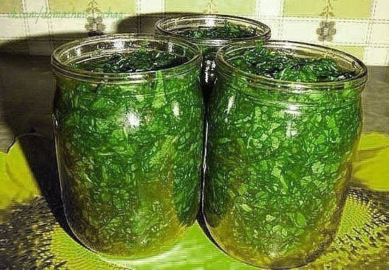 Щавель на зиму без соли