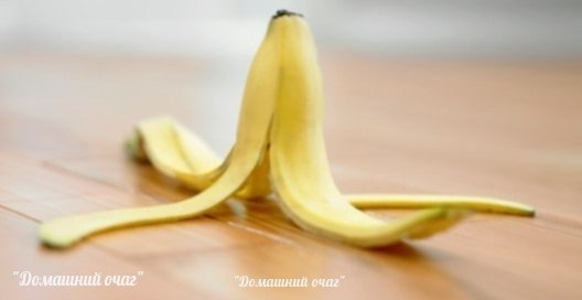 НЕ СПЕШИТЕ ВЫБРАСЫВАТЬ МУСОР!