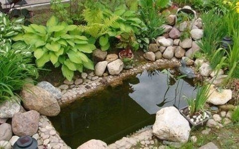 Пруд из старой ванны.