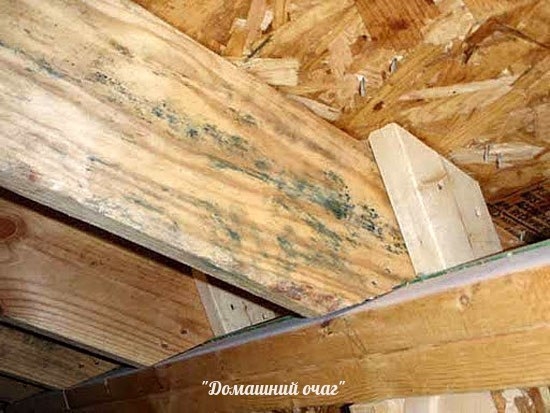 КАК ИЗБАВИТЬСЯ ОТ ГРИБКА И ГНИЛИ НА ДЕРЕВЕ.