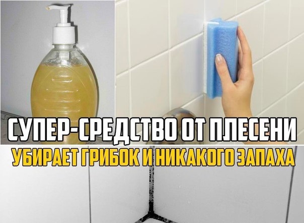 Супер-средство от плесени: убирает грибок на ура и никакого жуткого запаха! Супер-средство от плесени: убирает грибок на ура и никакого жуткого запаха!