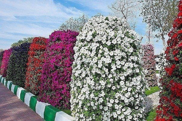 ВЕРТИКАЛЬНАЯ КЛУМБА ДЛЯ ЦВЕТНИКОВ