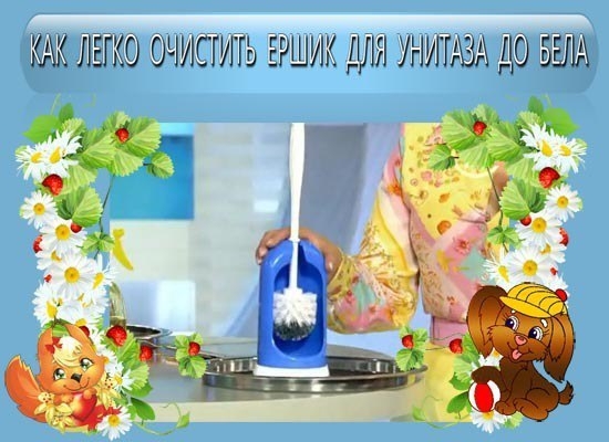 КАК ЛЕГКО ОЧИСТИТЬ ЕРШИК ДЛЯ УНИТАЗА ДО БЕЛА