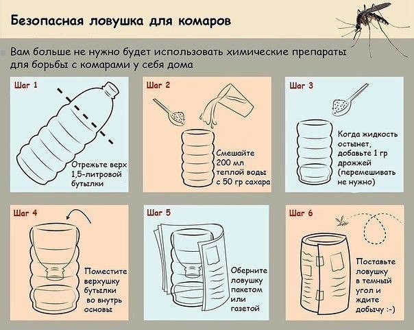 Как самостоятельно сделать безвредную ловушку для комаров Как самостоятельно сделать безвредную ловушку для комаров