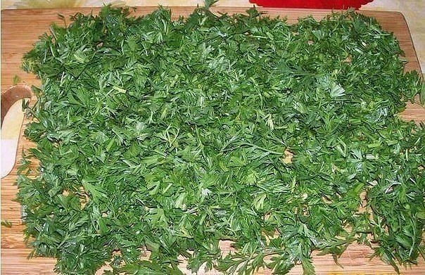 Ботва моркови