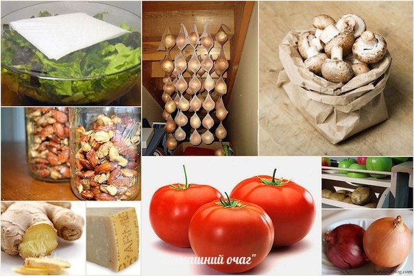 УЧИМСЯ ПРАВИЛЬНО ХРАНИТЬ ПРОДУКТЫ УЧИМСЯ ПРАВИЛЬНО ХРАНИТЬ ПРОДУКТЫ