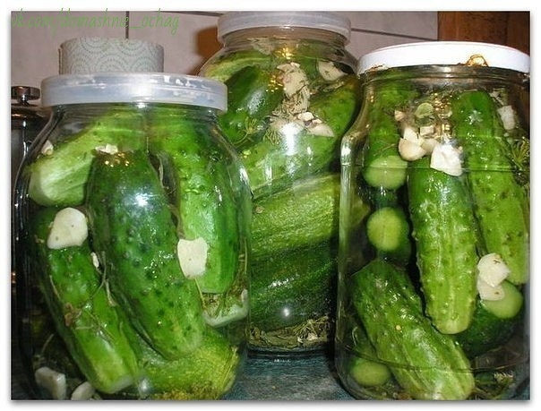 Незабываемые на вкус огурчики в "пражской" заливке Незабываемые на вкус огурчики в "пражской" заливке