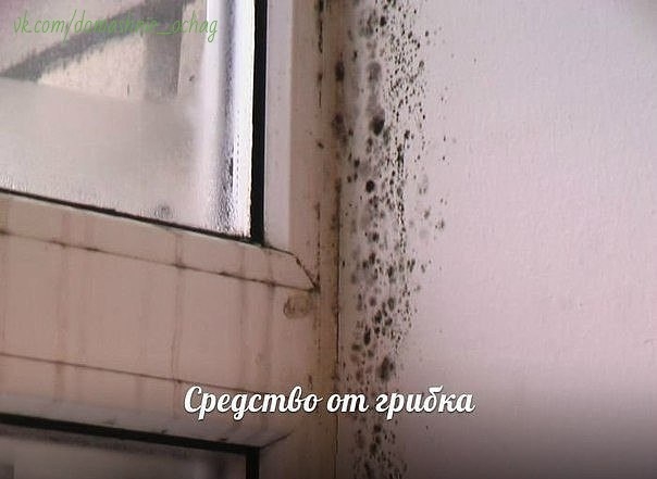 Простое средство от грибка в ванной. Простое средство от грибка в ванной.