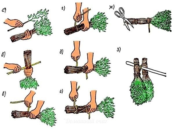 ПРАВИЛЬНЫЕ ВЕНИКИ ДЛЯ БАНИ!