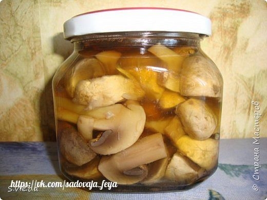 Маринованные шампиньоны (вешенки) за сутки Маринованные шампиньоны (вешенки) за сутки