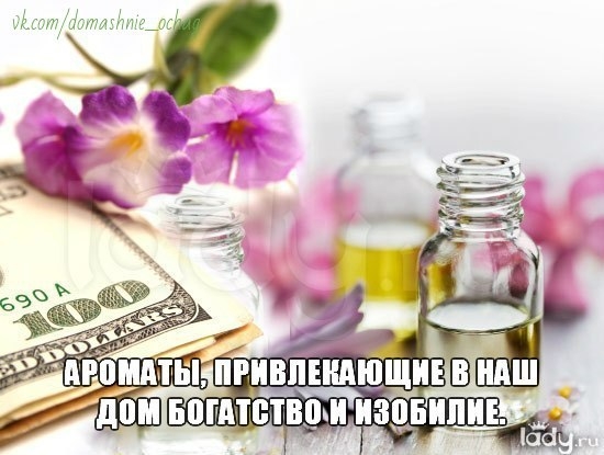 *АРОМАТЫ, ПРИВЛЕКАЮЩИЕ В НАШ ДОМ БОГАТСТВО И ИЗОБИЛИЕ.